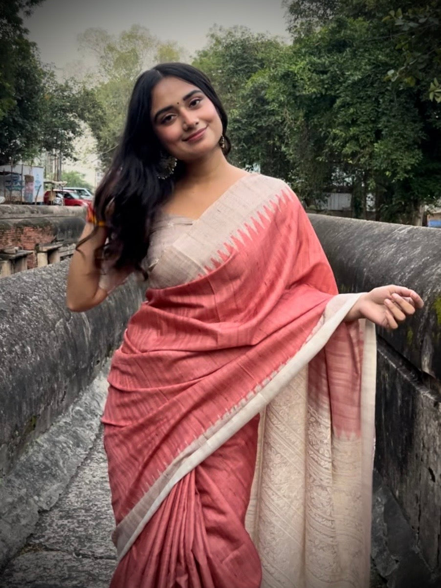 Traditional Chikoo Orange Embroidered Tussar Saree Geetha Creation