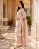 Rust Cotton Embroidered Kurta Pant Dupatta Set with Lace Detailing Geetha Creation
