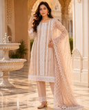 Rust Cotton Embroidered Kurta Pant Dupatta Set with Lace Detailing Geetha Creation